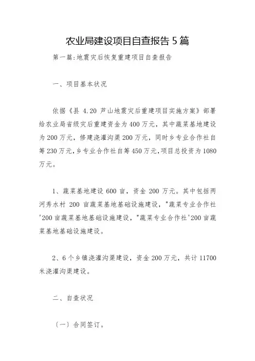 农业局建设项目自查报告5篇