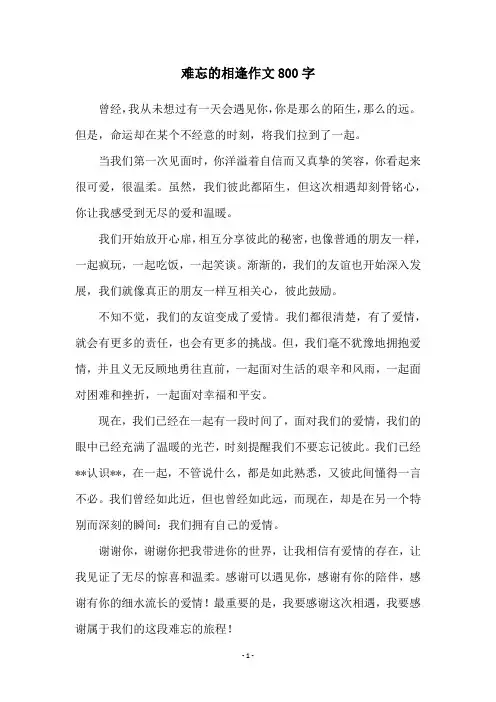 难忘的相逢作文800字