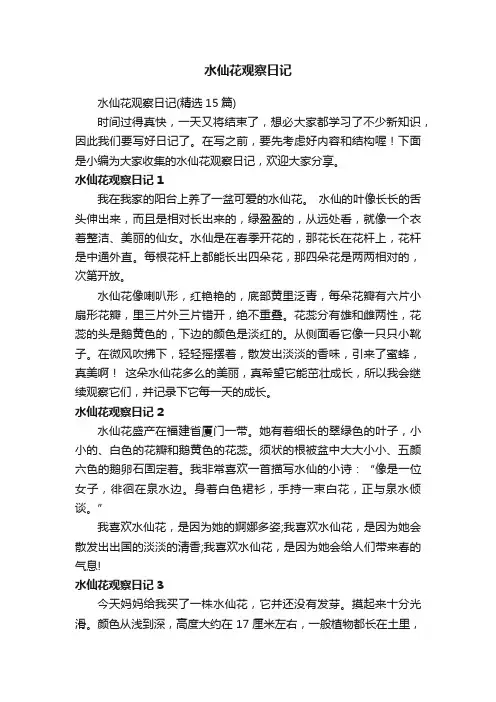 水仙花观察日记（精选15篇）