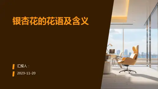 银杏花的花语及含义