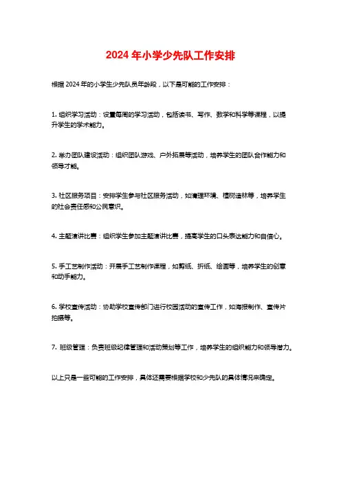 2024年小学少先队工作安排