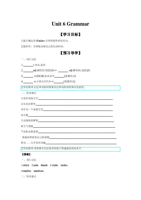 Unit6Grammar学案牛津译林版英语九年级上册