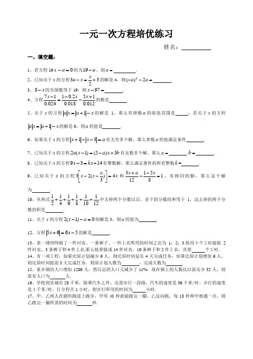 一元一次方程培优练习