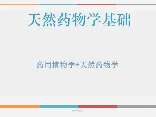 天然药物学基础1-4章ppt课件
