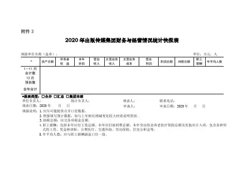 2020年出版传媒集团财务与经营情况统计快报表