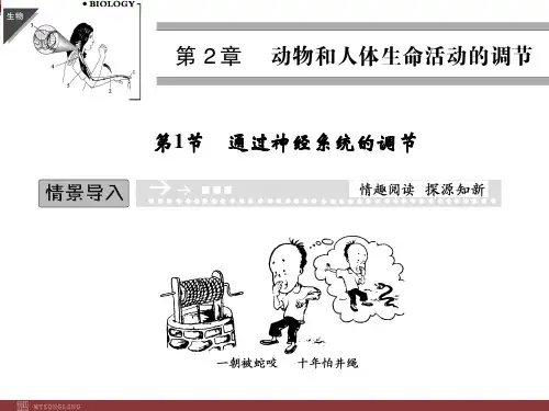 高中生物必修3第2单元复习课件：动物和人体生命活动的调节
