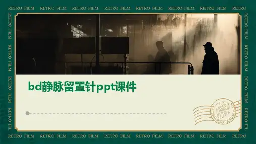 BD静脉留置针ppt课件