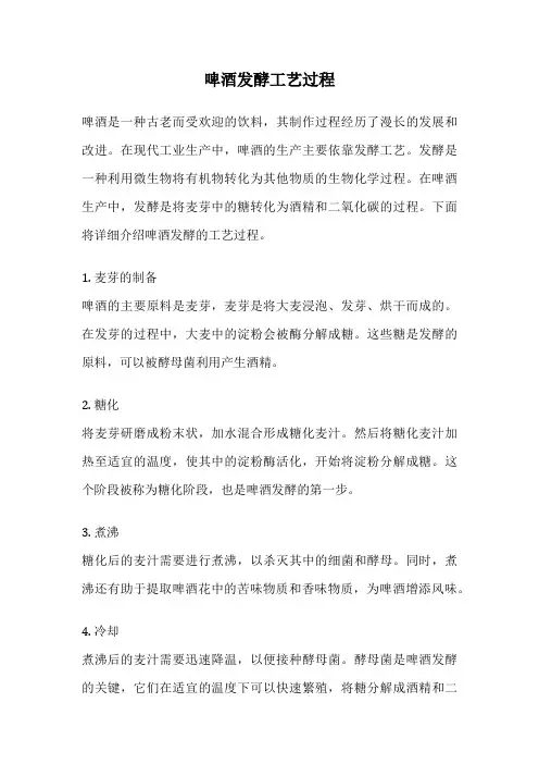 啤酒发酵工艺过程