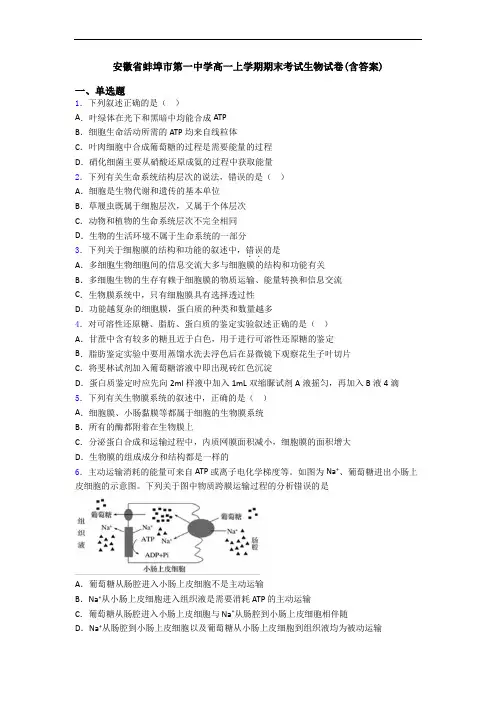 安徽省蚌埠市第一中学高一上学期期末考试生物试卷(含答案)