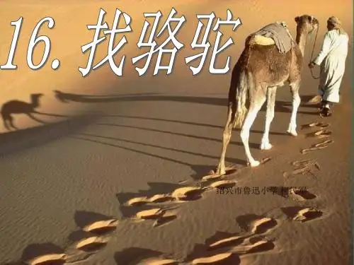 人教版三年级上册《找骆驼》课件