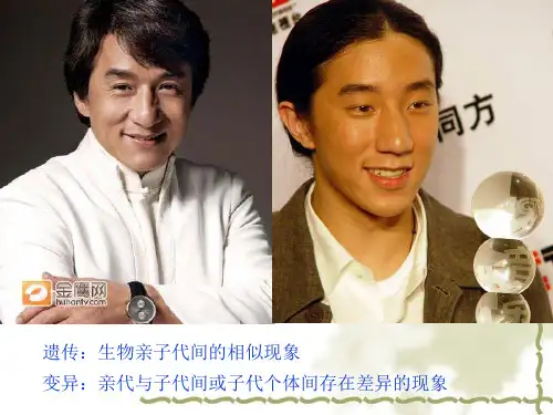 《分离定律》课件
