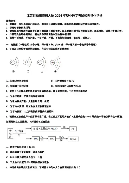 江苏省扬州市树人校2024届毕业升学考试模拟卷化学卷含解析