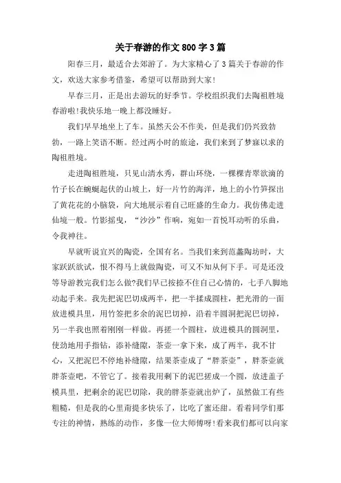 关于春游的作文800字3篇