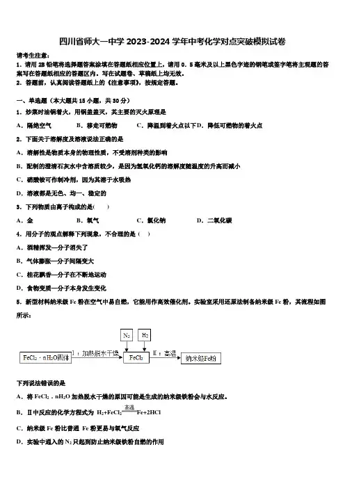 四川省师大一中学2023-2024学年中考化学对点突破模拟试卷含解析