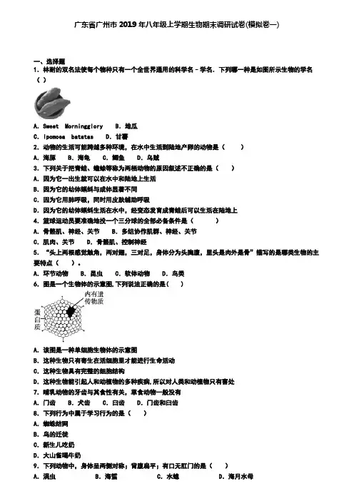 广东省广州市2019年八年级上学期生物期末调研试卷(模拟卷一)