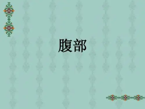 人体断面解剖学-腹部