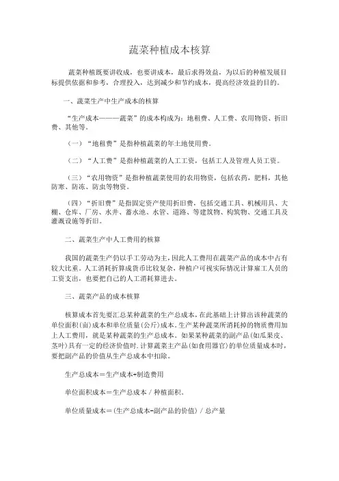蔬菜种植成本核算