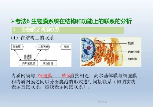 【学习方案】2020高考生物二轮复习第2章细胞的结构和功能课件_2_21-25