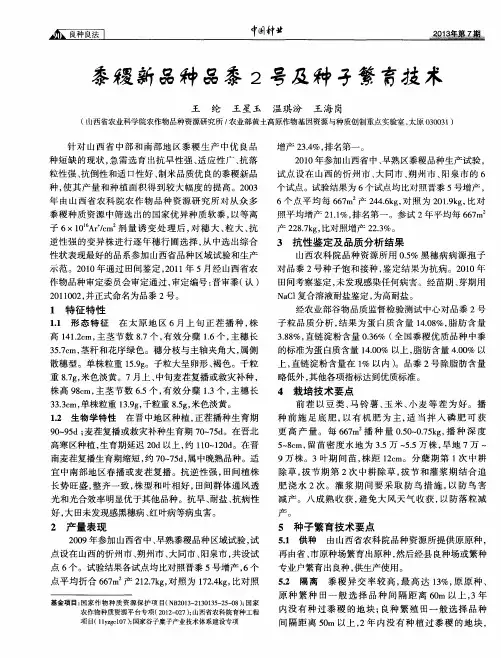 黍稷新品种品黍2号及种子繁育技术