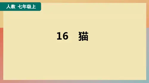 部编版七年级语文上册第16课《猫》练习课件