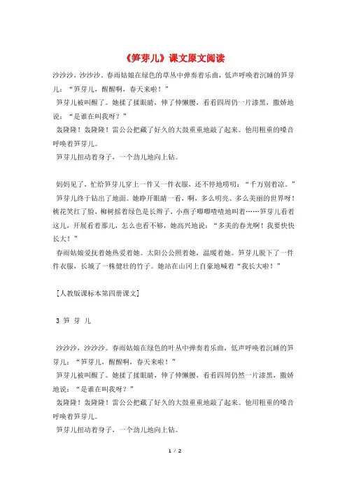 《笋芽儿》课文原文阅读