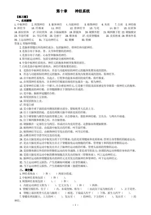 神经系统习题
