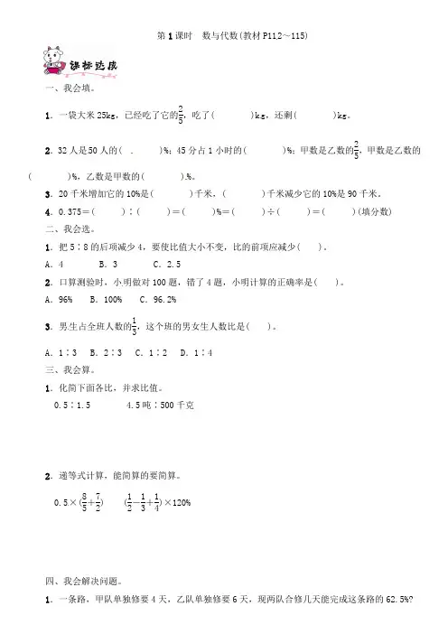 六年级上册数学一课一练-第9单元第1课时 数与代数含答案｜人教新课标版