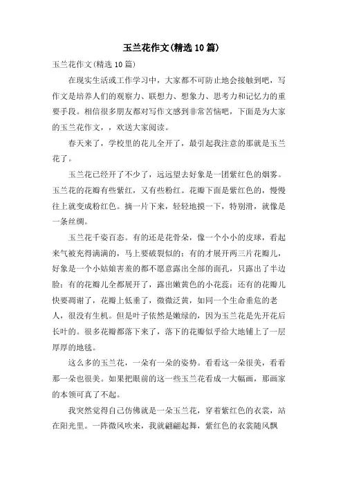 玉兰花作文(10篇)