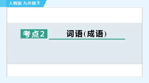 最新人教版九年级下册语文期末复习考点2 词语(成语)