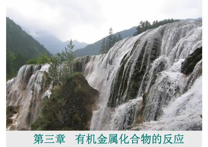 第三章 有机金属化合物的反应