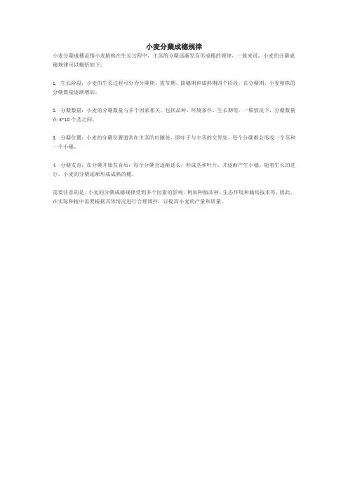小麦分蘖成穗规律