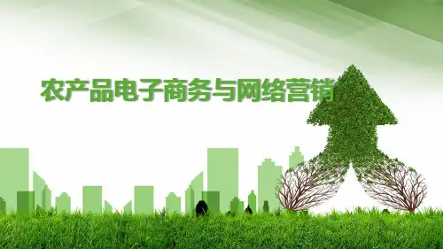 农产品电子商务与网络营销ppt课件