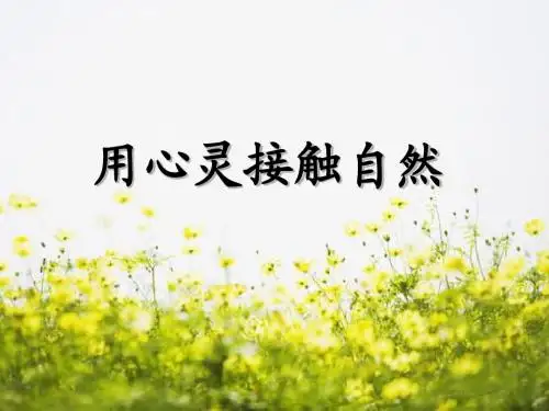 第2课  用心灵接触自然