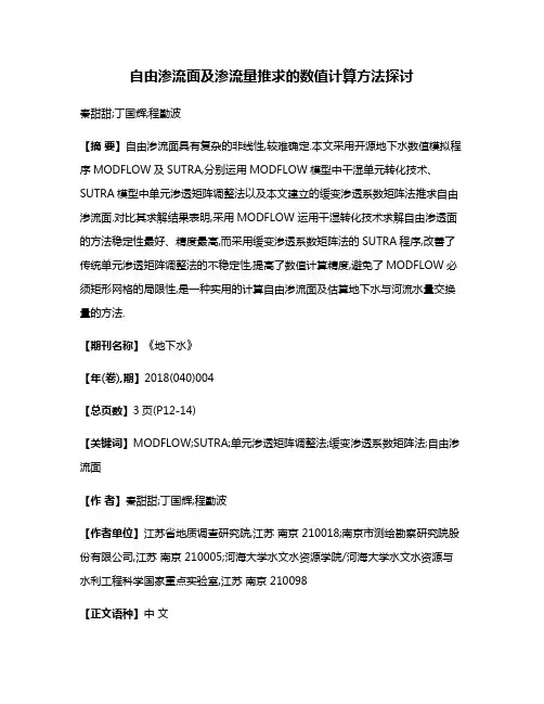 自由渗流面及渗流量推求的数值计算方法探讨