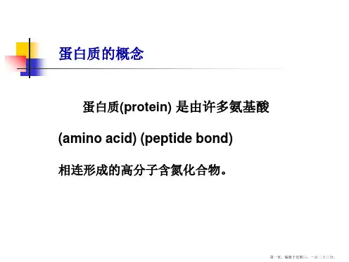 蛋白质的结构与功能2