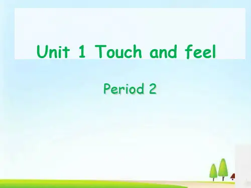 《Touch and feel》PPT课件