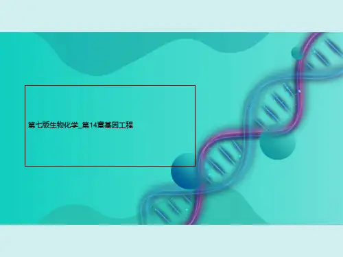 第七版生物化学_第14章基因工程