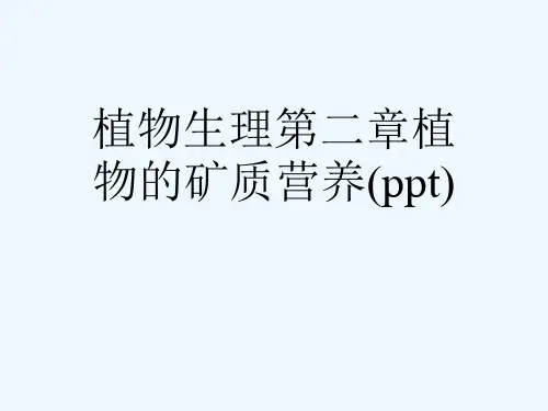 植物生理第二章植物的矿质营养(ppt)