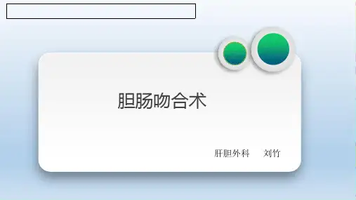 胆肠吻合术讲课(最新课件)