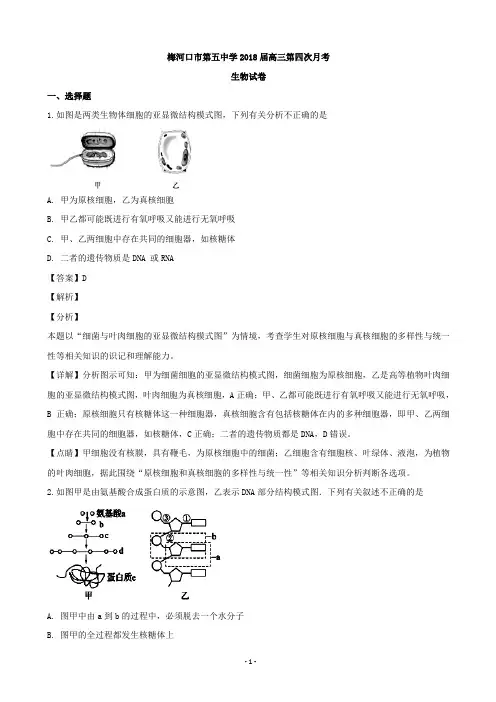 2018届吉林省梅河口市第五中学高三上学期第四次月考生物试题(解析版)