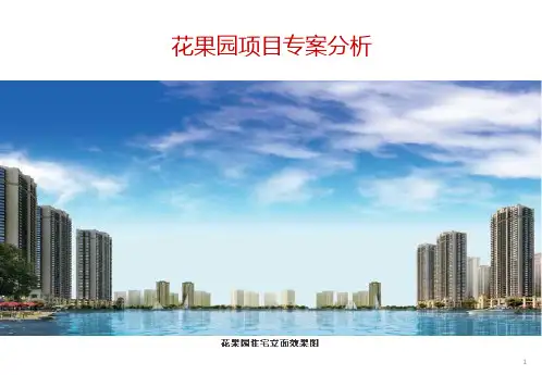 贵阳花果园项目专案分析_32PPT_2011年