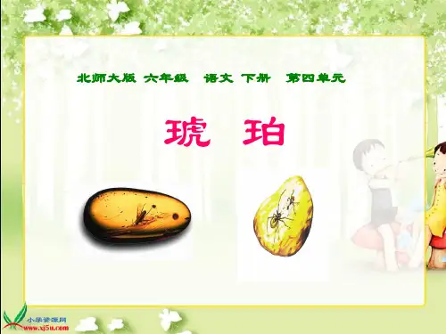 北师大版六年级语文下册《琥珀 3》PPT课件