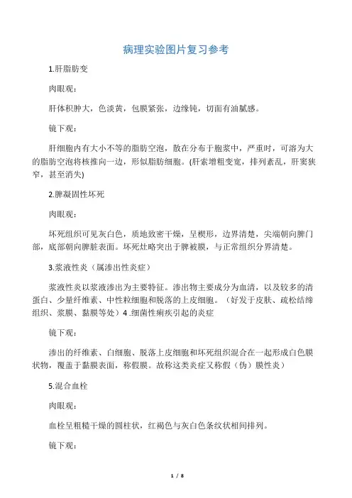 病理学图片整理