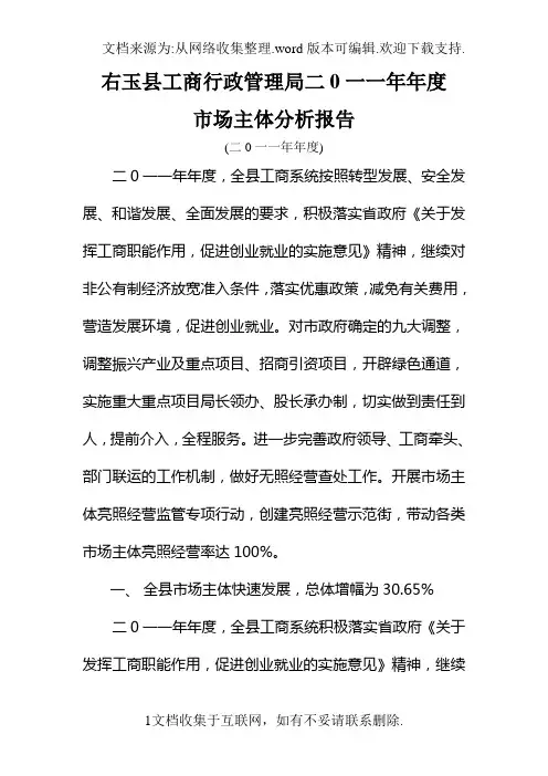 市场主体分析报告