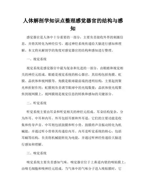 人体解剖学知识点整理感觉器官的结构与感知