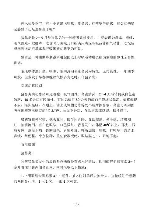 猪流鼻涕打喷嚏是感冒还是鼻炎