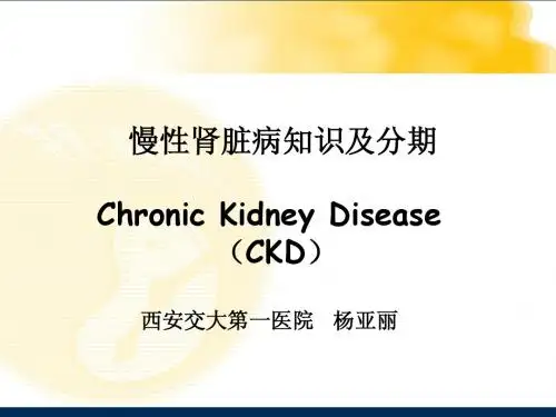 CKD基础知识修改