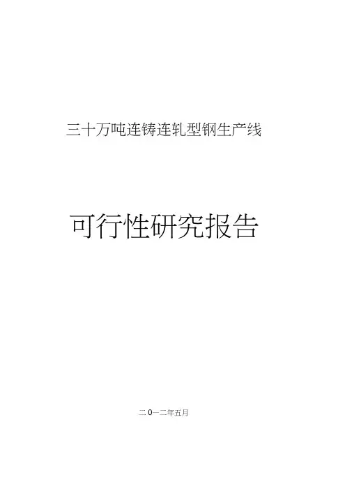 30万吨连铸连轧型钢可行性研究报告