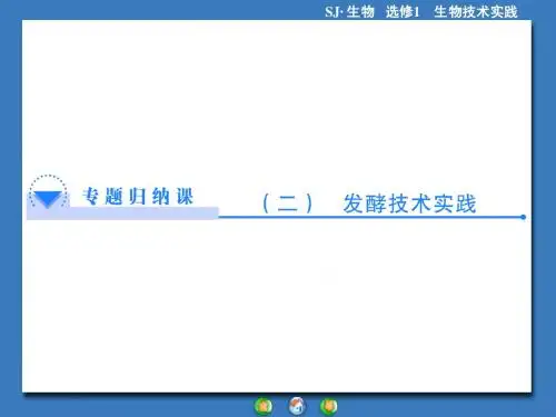 高中生物(苏教版)选修1课件：专题归纳课2第2章 发酵技术实践(共42张PPT)