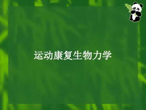 运动康复生物力学